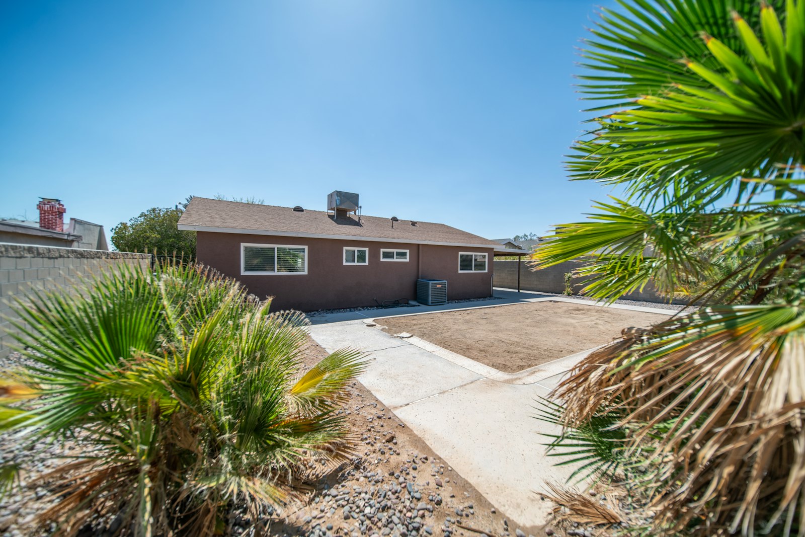 Phoenix house with a front-yard turf install and a tall palm tree.